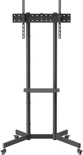 Akai Proffesional ST3670 Fernsehhalterung Boden bis 70" und 45kg