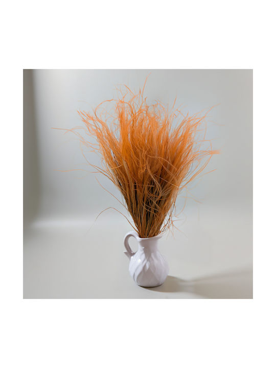 Dried Stipa Feather Grass Stipa Pennata Mustard Yellow