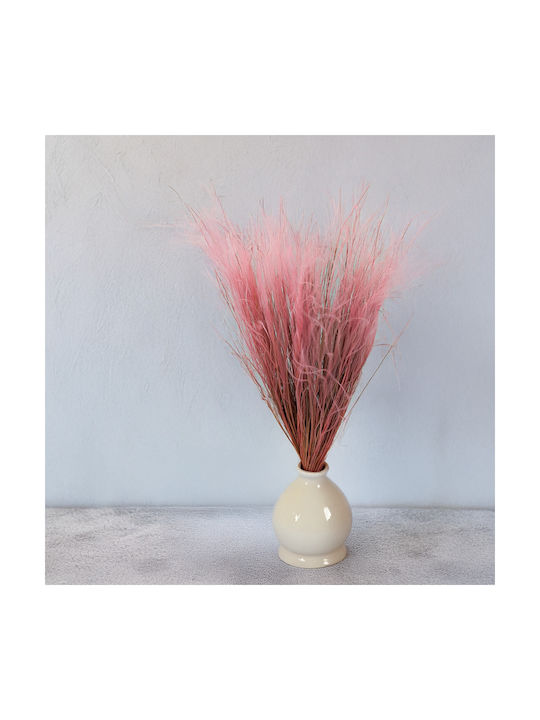 Dried Stipa Feather Grass Stipa Pennata Antique Pink