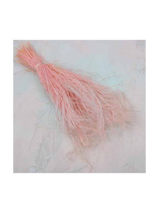 Dried Stipa Feather Grass Stipa Pennata Pink