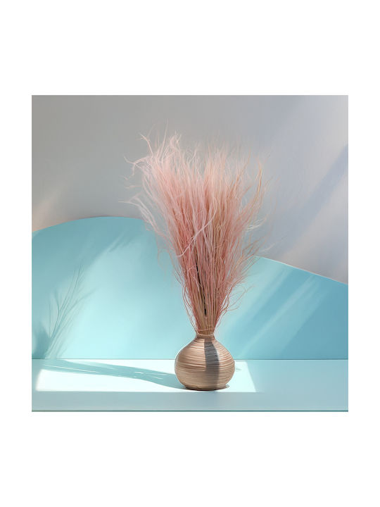 Dried Stipa Feather Grass Stipa Pennata Heather