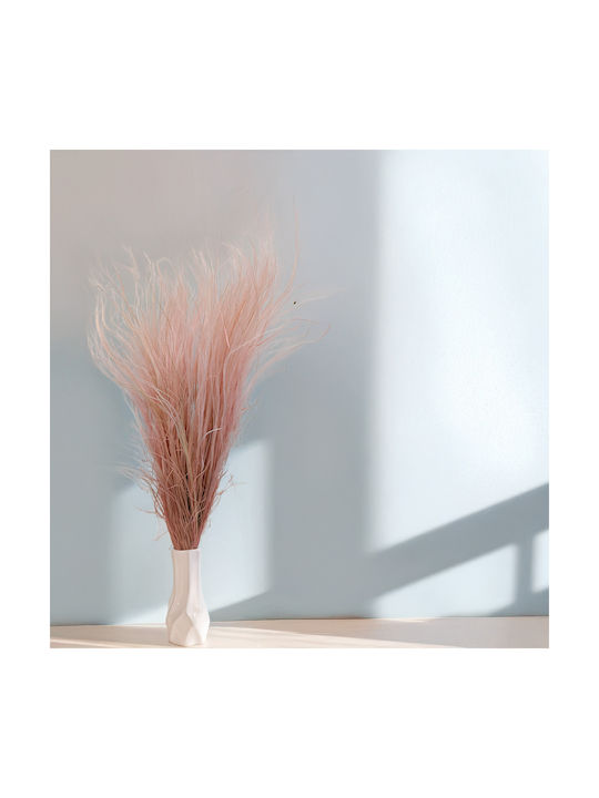 Изсушена Переста Трева Stipa Pennata Heather