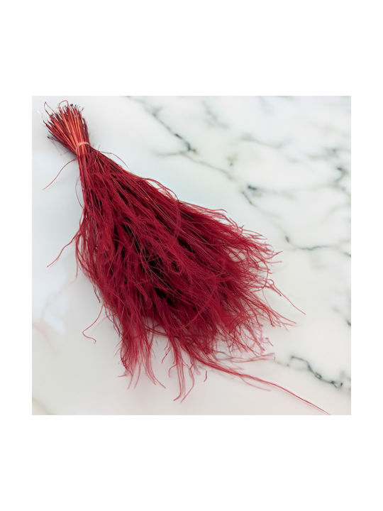 Dried Stipa Feather Grass Stipa Pennata Burgundy