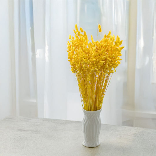 Dried Quaking Grass Briza Maxima Yellow