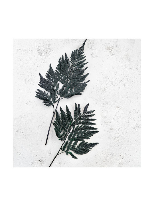 Stabilized Fern Leathery