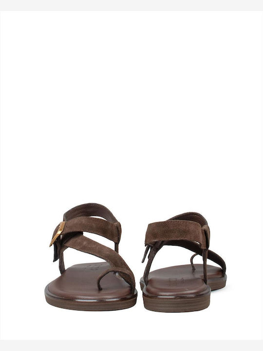Zakro Collection