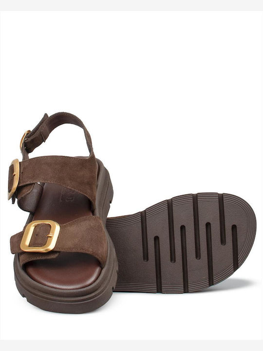 Zakro Collection