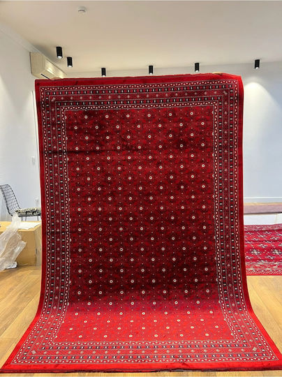 SteweHome Килим за дневна 200x290см Червен