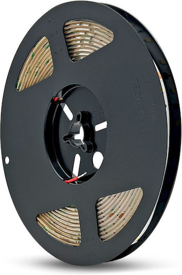 Geyer Αδιάβροχη Ταινία LED Eco 24V Πράσινο Φως