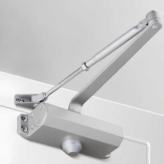 Resteq Türschließer Mit Silber Farbe Für Maximalgewicht 65 Kg Automatische Rückstellung