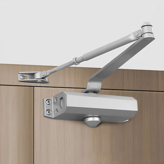 Resteq Türschließer Mit Silber Farbe Für Maximalgewicht 65 Kg Automatische Rückstellung