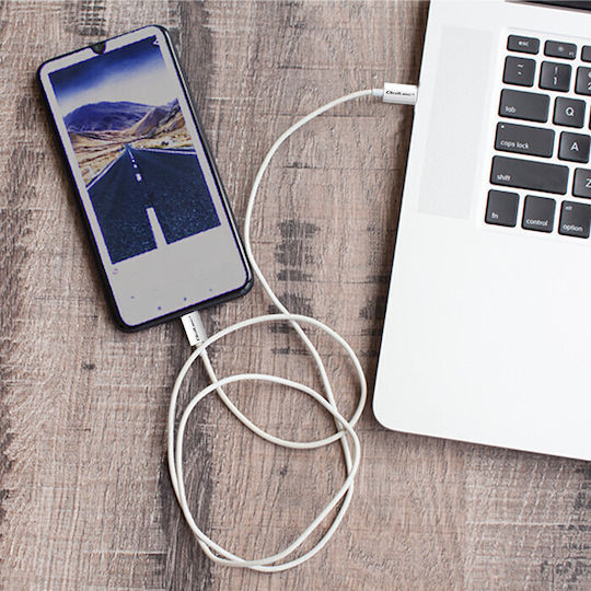 Qoltec USB 2.0 Cable USB-C male - USB-C 60W PD Λευκό 1m 52359
