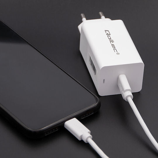 Qoltec USB 2.0 Kabel USB-C männlich - USB-C Weiß 2m (52346)