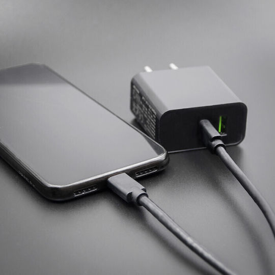 Qoltec USB 2.0 Cablu USB-C bărbătesc - USB-C de sex masculin Negru 2m (52345)