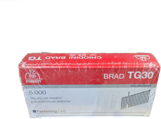 Καρφάκι Tg-30/5.000 Maestri