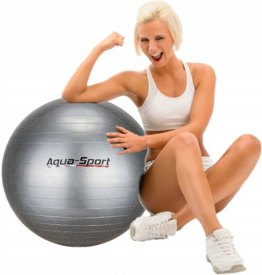 Aqua-Sport Μπάλα Pilates σε Γκρι Χρώμα