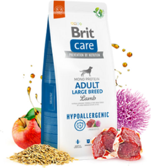 Brit Care Adult Large Breed 3kg Hrană Uscată fără Cereale pentru Câini Adulţi de Rase Mari cu Miel și Orez