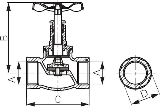 Cast Iron Globe Valve 1"
