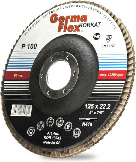 P80 Flap Disc Φ125
