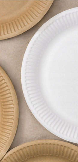 Eco White Plates 22.7cm 50pcs