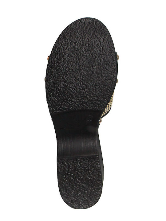 Platforme Dama Negru