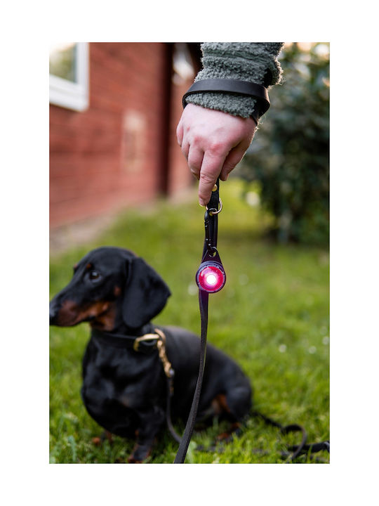Orbiloc Hundehalsband Beleuchtetes Gelbes
