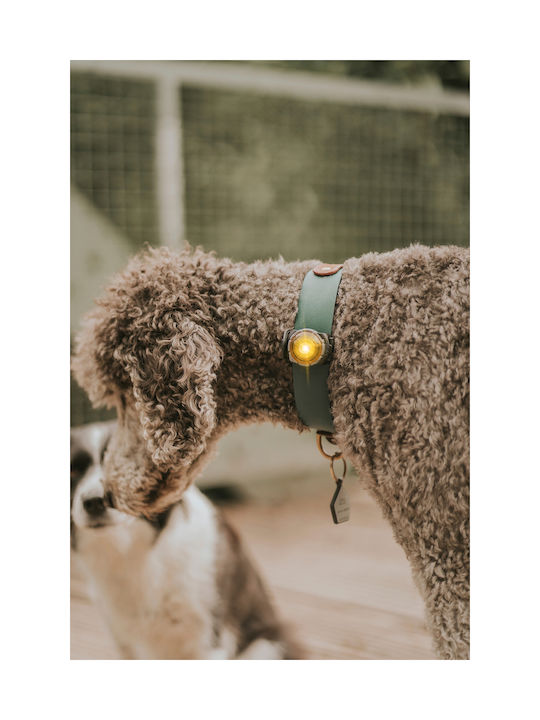 Φωτάκι Orbiloc Dog Dual Green