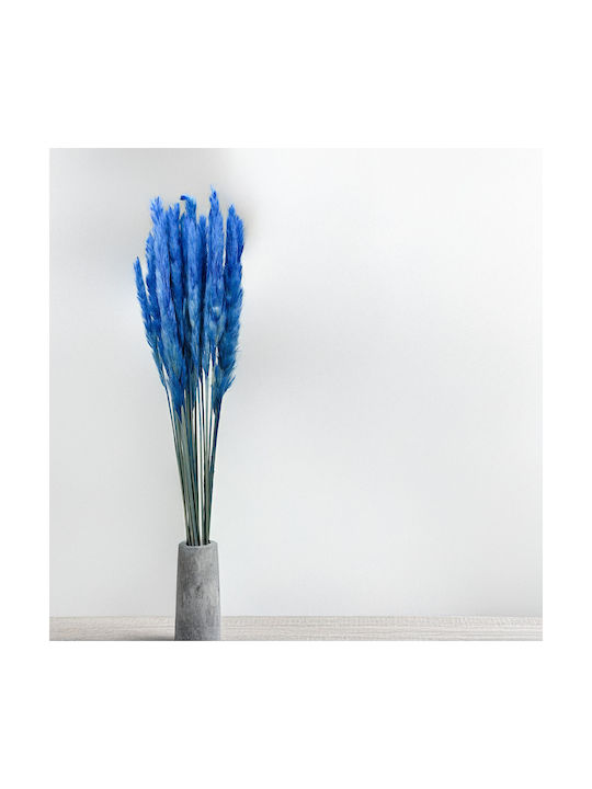 Mini Pampas Grass Blue