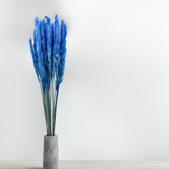 Mini Pampas Grass Blue Mini Pampas Grass Blue