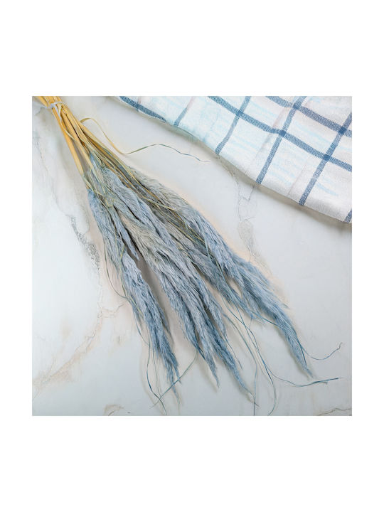 Mini Pampas Grass Blue 10pcs