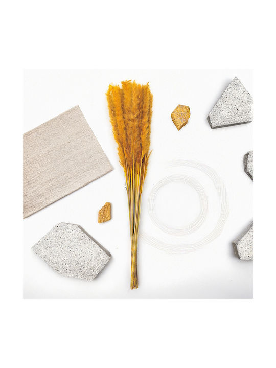 Mini Pampas Grass Mustard