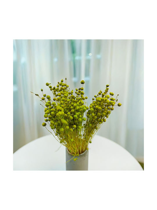 Dried Flaxseed Celadon