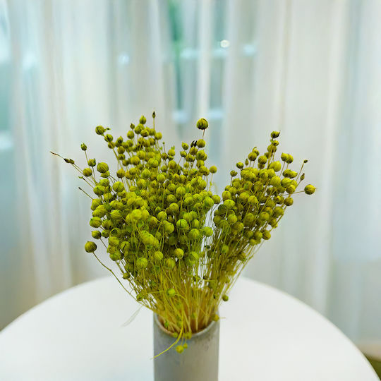 Dried Flaxseed Celadon
