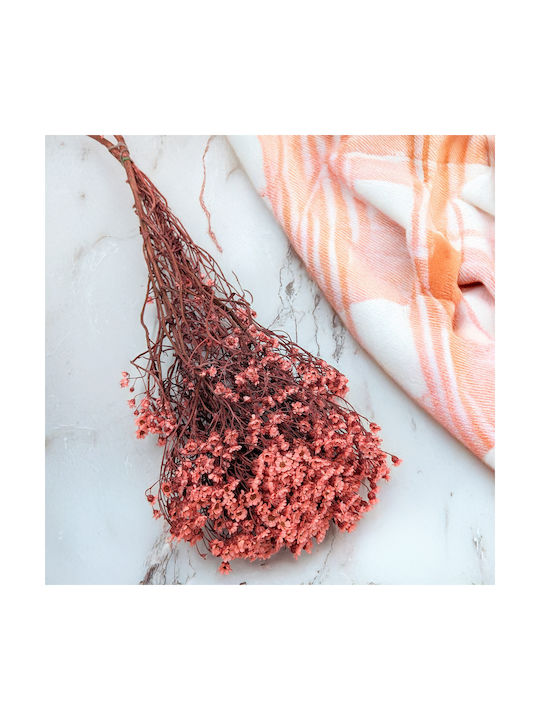 Oxodia Dried Salmon