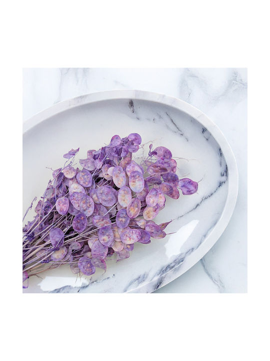 Monatlicher Getrockneter Lunaria Lavendel