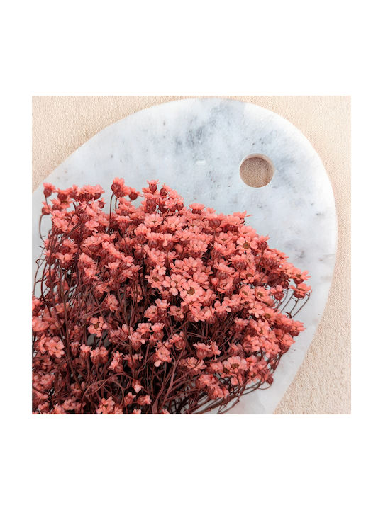 Oxodia Dried Salmon