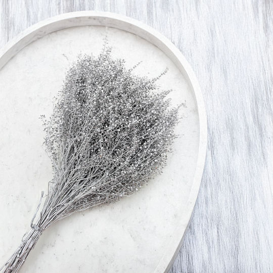 Dried Lepidium Lepidium Sativum Silver