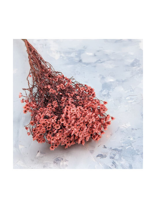 Oxodia Dried Salmon