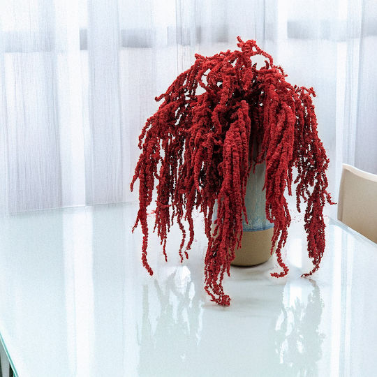 Stabilisierter Roter Amaranth