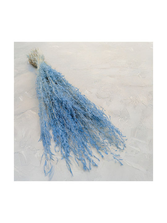 Dried Trembling Grass Briza Segromigno Blue