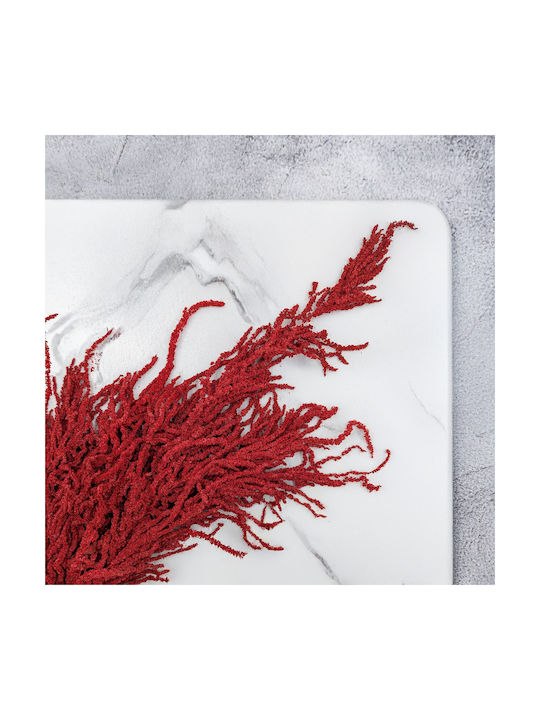 Stabilized Amaranth Red Amaranth