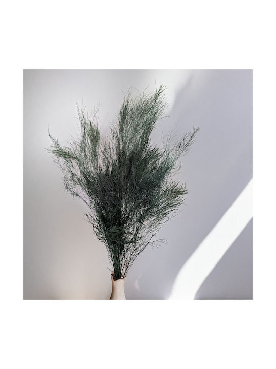 Stabilized Fern Tree-like