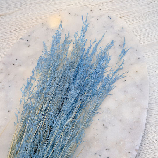 Dried Trembling Grass Briza Segromigno Blue