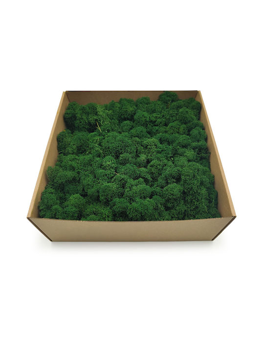 Reindeer Moss Finnish Cleaned Bottle Green 500g Net