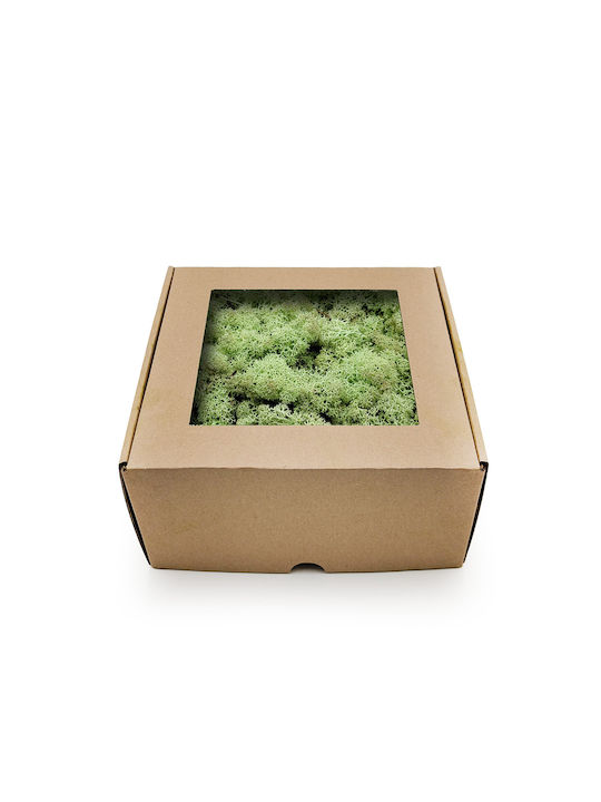 Reindeer Moss Norway Mint Green 500g Net
