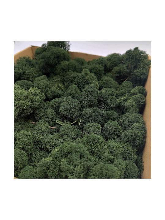 Reindeer Moss Finnish Cleaned Dark Green 500g Net