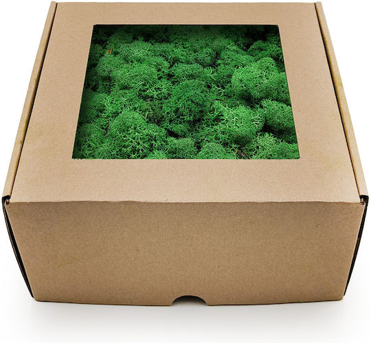 Reindeer Moss Lichen Norway Shade Grass 500g Netto