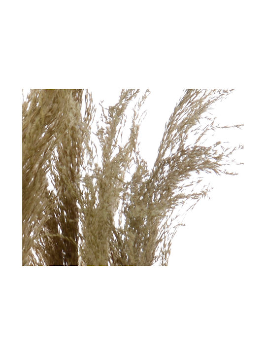 Декоративно Изкуствено Растение Grass Plume 40x40x115см Kaemingk Km-800978