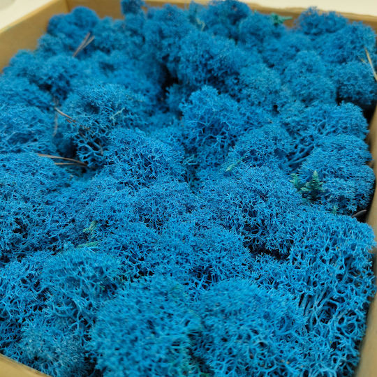 Rentiermoos Finnisch Gereinigt Blau 250g Netto