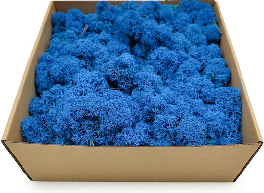 Rentiermoos Finnisch Gereinigt Blau 250g Netto